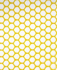 HEX 10